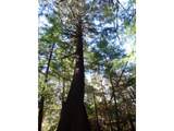 88271 Mccormick Gardens Rd - Photo 25