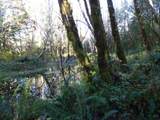 88271 Mccormick Gardens Rd - Photo 31