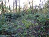 88271 Mccormick Gardens Rd - Photo 35