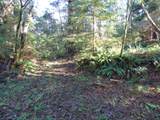 88271 Mccormick Gardens Rd - Photo 37
