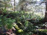 88271 Mccormick Gardens Rd - Photo 44