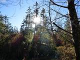 88271 Mccormick Gardens Rd - Photo 45