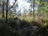 88271 Mccormick Gardens Rd - Photo 46