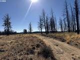  Mahogany Ln - Photo 11
