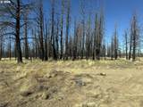  Mahogany Ln - Photo 19