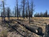 Mahogany Ln - Photo 28