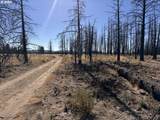  Mahogany Ln - Photo 29