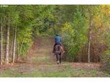 13492 Warnock Rd - Photo 43
