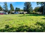  Alder Lane - Photo 16