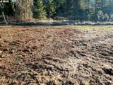 37186 Tree Farm Rd - Photo 33