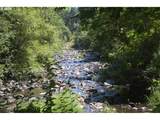  Off Of Crooked Finge Rd - Photo 10