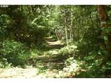  Off Of Crooked Finge Rd - Photo 11