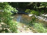  Off Of Crooked Finge Rd - Photo 9