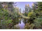  Trout Pond  Tl206 Ln - Photo 1