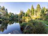  Trout Pond  Tl206 Ln - Photo 2