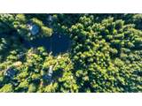  Trout Pond  Tl206 Ln - Photo 3