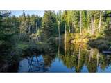  Trout Pond  Tl206 Ln - Photo 6