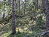 000300 Clarks Branch Rd - Photo 10