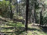 000300 Clarks Branch Rd - Photo 12
