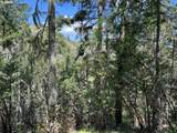 000300 Clarks Branch Rd - Photo 14