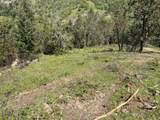 000300 Clarks Branch Rd - Photo 21