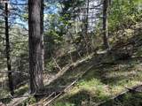 000300 Clarks Branch Rd - Photo 22