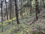 000300 Clarks Branch Rd - Photo 6