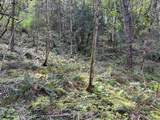 000300 Clarks Branch Rd - Photo 7