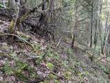 000300 Clarks Branch Rd - Photo 9