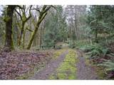  380th Ave - Photo 2