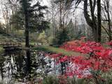  380th Ave - Photo 6