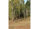 3647 Briar Knob Loop - Photo 10