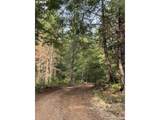 3647 Briar Knob Loop - Photo 11