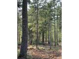 3647 Briar Knob Loop - Photo 12