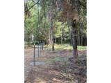 3647 Briar Knob Loop - Photo 4