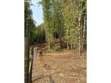 3647 Briar Knob Loop - Photo 5