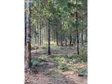 3647 Briar Knob Loop - Photo 7
