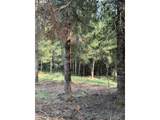 3647 Briar Knob Loop - Photo 8