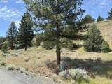  Elkview - Photo 7