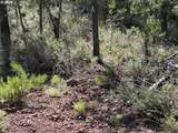  Munson Drive - Photo 30