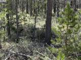  Munson Drive - Photo 31