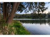 20377 Shore Vista Dr - Photo 31