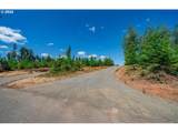 0 Silver Lake - Photo 16