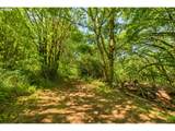 19100 Finnigan Hill Rd - Photo 40
