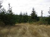 00 Bellinger Scale (2) Rd - Photo 7