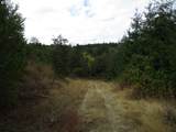 00 Bellinger Scale (2) Rd - Photo 8