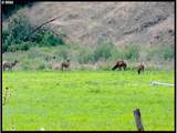 50889 Highway 26 - Photo 19