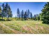 27053 Shibley Rd - Photo 15