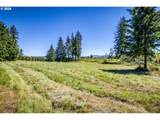 27053 Shibley Rd - Photo 7