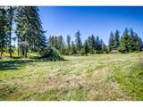 27053 Shibley Rd - Photo 9